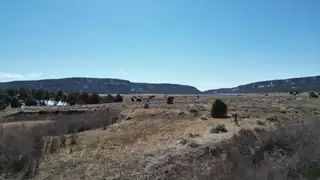 Tract C-1 Forest Road 157 