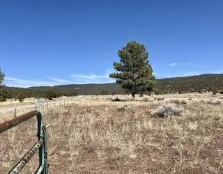 Tract C-1 Forest Road 157 