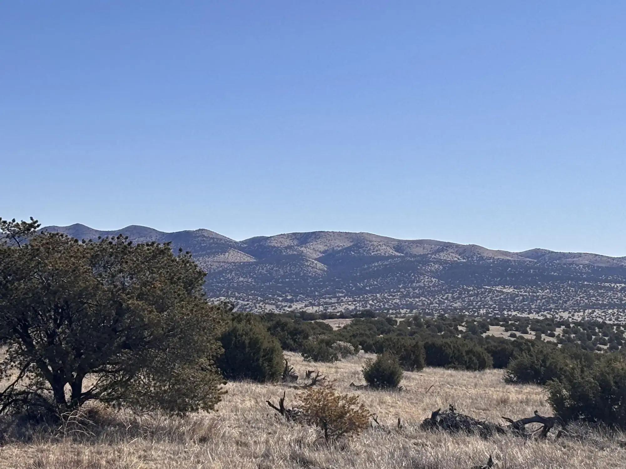 Lot 168 Pinon Springs
