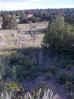 0 Hilburn Court, Edgewood 