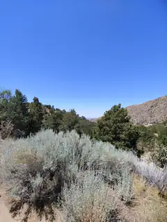 Evergreen Hills 3 Lot 1 NE 