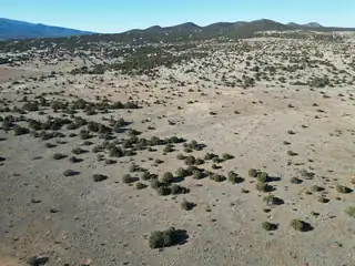 Frost & Tumbleweed E2SE4NW4 