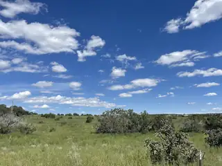 Frost & Tumbleweed W2NE4SW4 