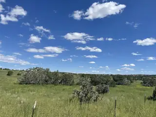 Frost & Tumbleweed W2SE4NW4 