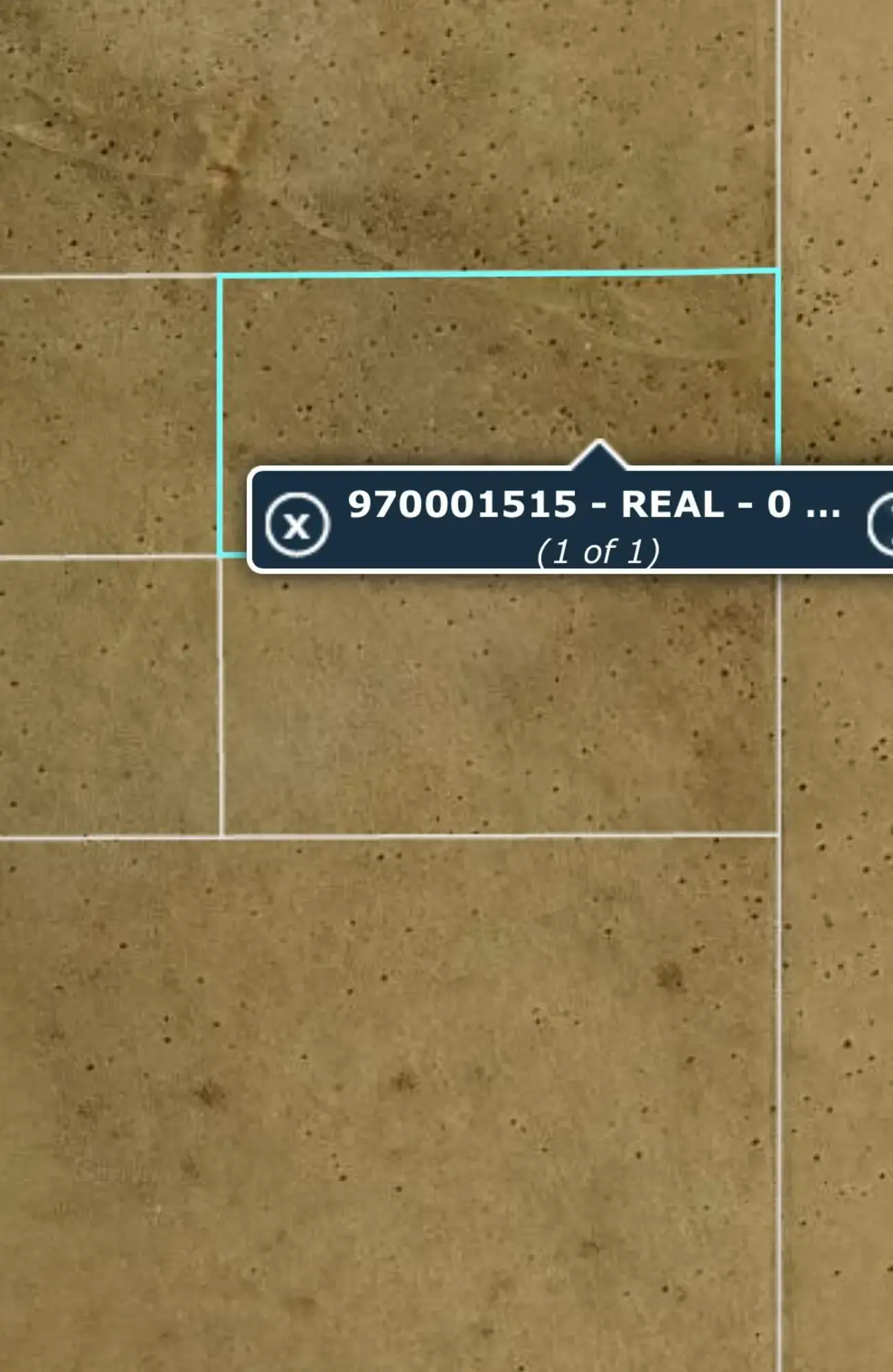 A-3 Camino Sol Y Paz