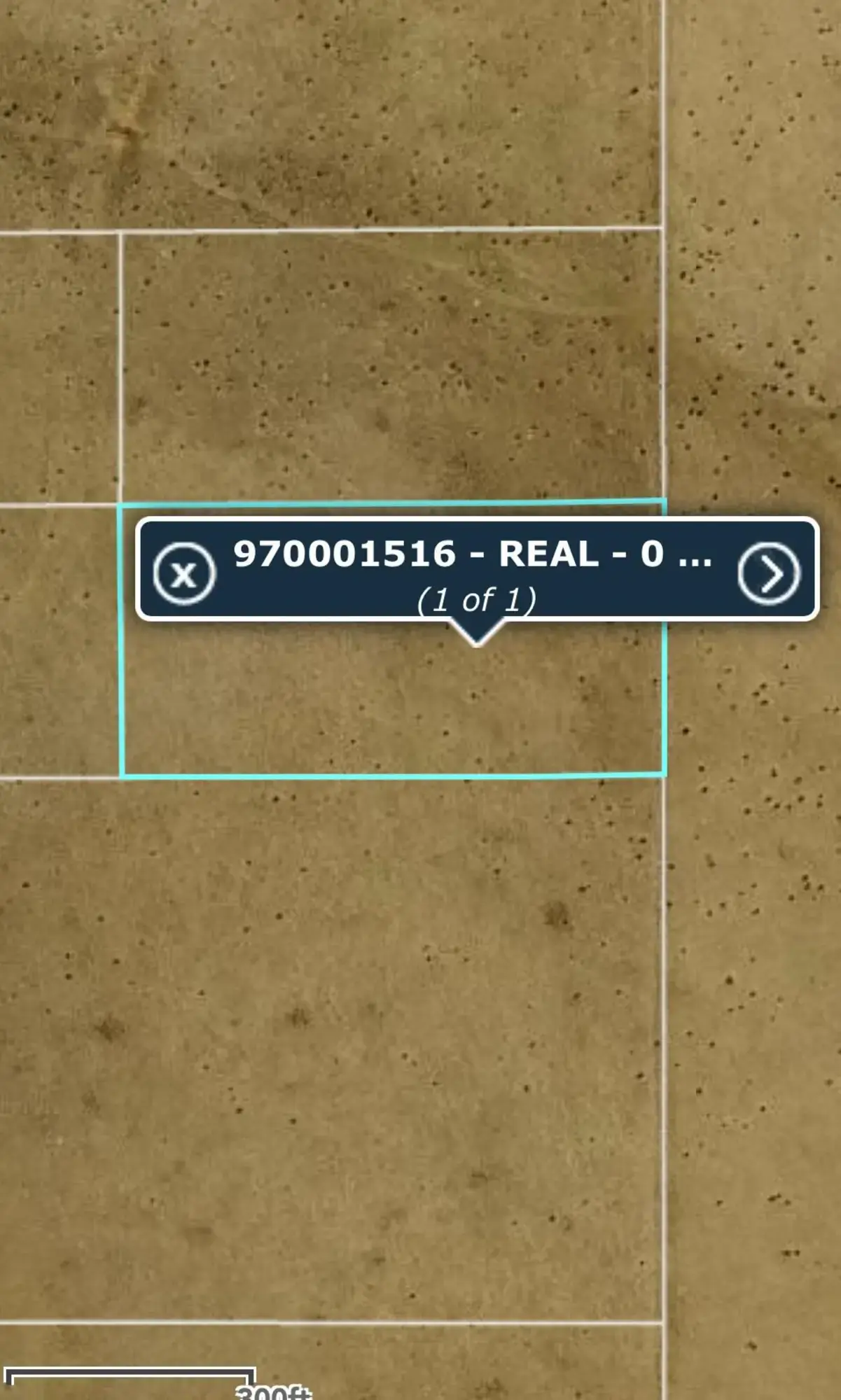 A-4 Camino Sol Y Paz