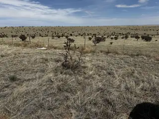 A-4 Camino Sol Y Paz 