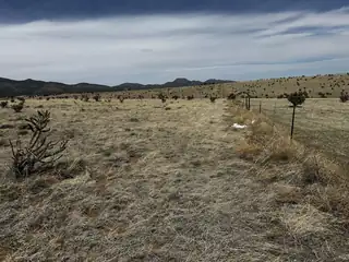 A-4 Camino Sol Y Paz 