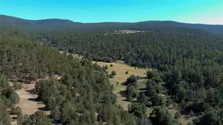 17 Wild Wings Circle 