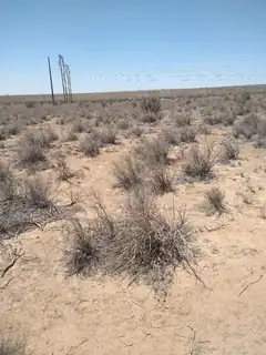 4700 Cayenne Road NE 