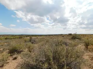 704 & 708 Trumbull Road NE 