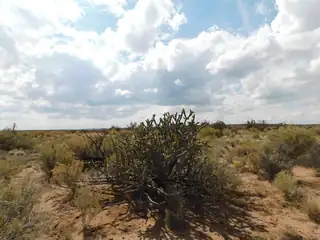 704 & 708 Trumbull Road NE 