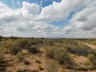 704 & 708 Trumbull Road NE 