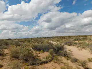 704 & 708 Trumbull Road NE 