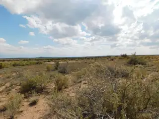 704 & 708 Trumbull Road NE 