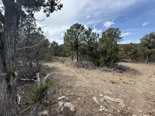 246 FIVE HILLS Drive 