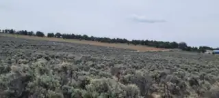 Unit 10 Tract 242 El Vado Lake Subd. 