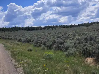 Unit 10 Tract 242 El Vado Lake Subd. 