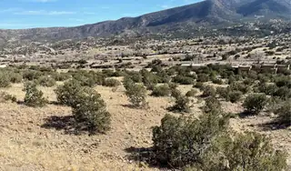 Overlook Lot 5a, Placitas 