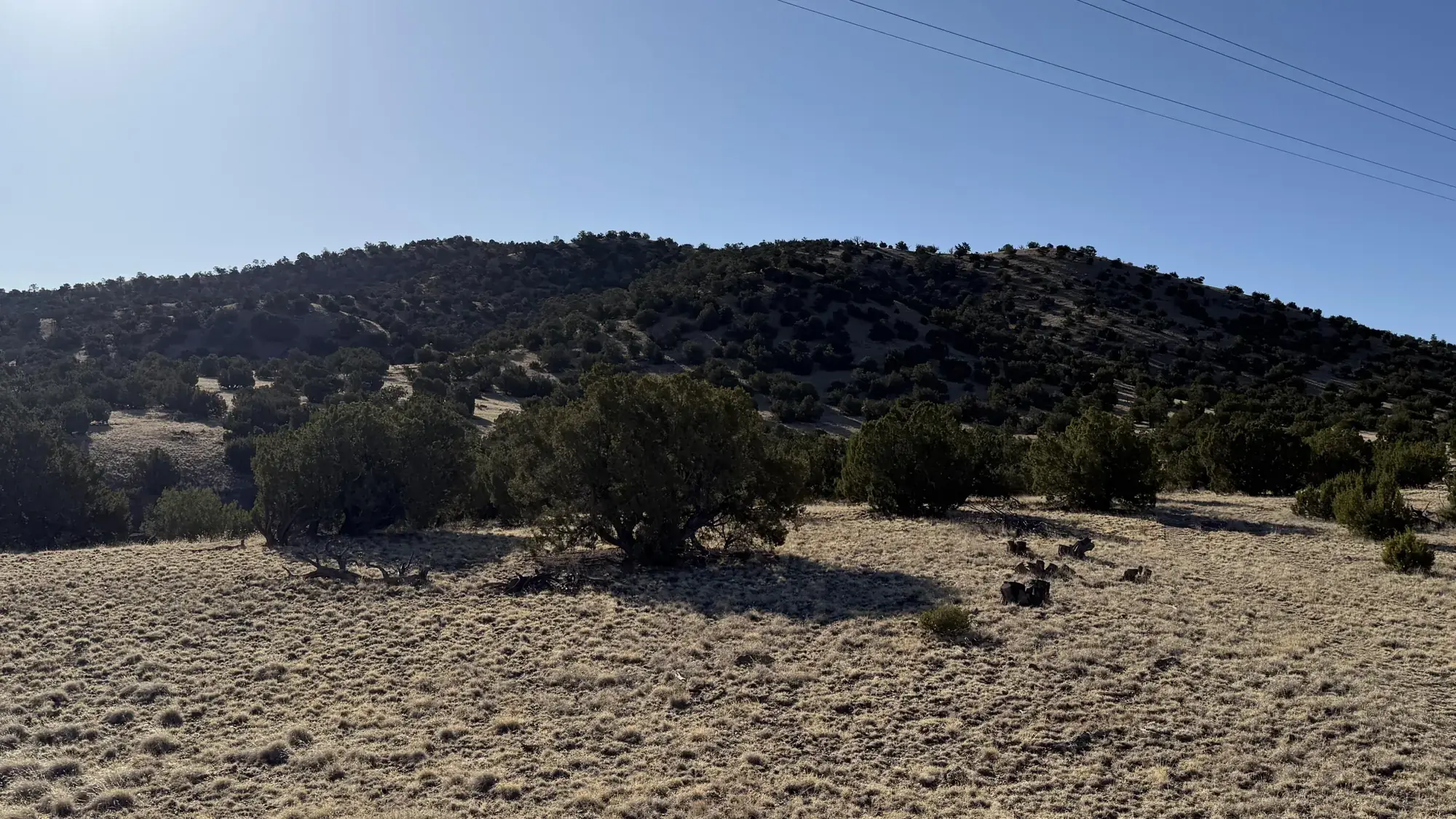 Lot 21 Pinon Springs Ranch