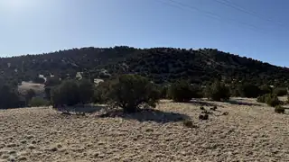 Lot 21 Pinon Springs Ranch, Magdalena 