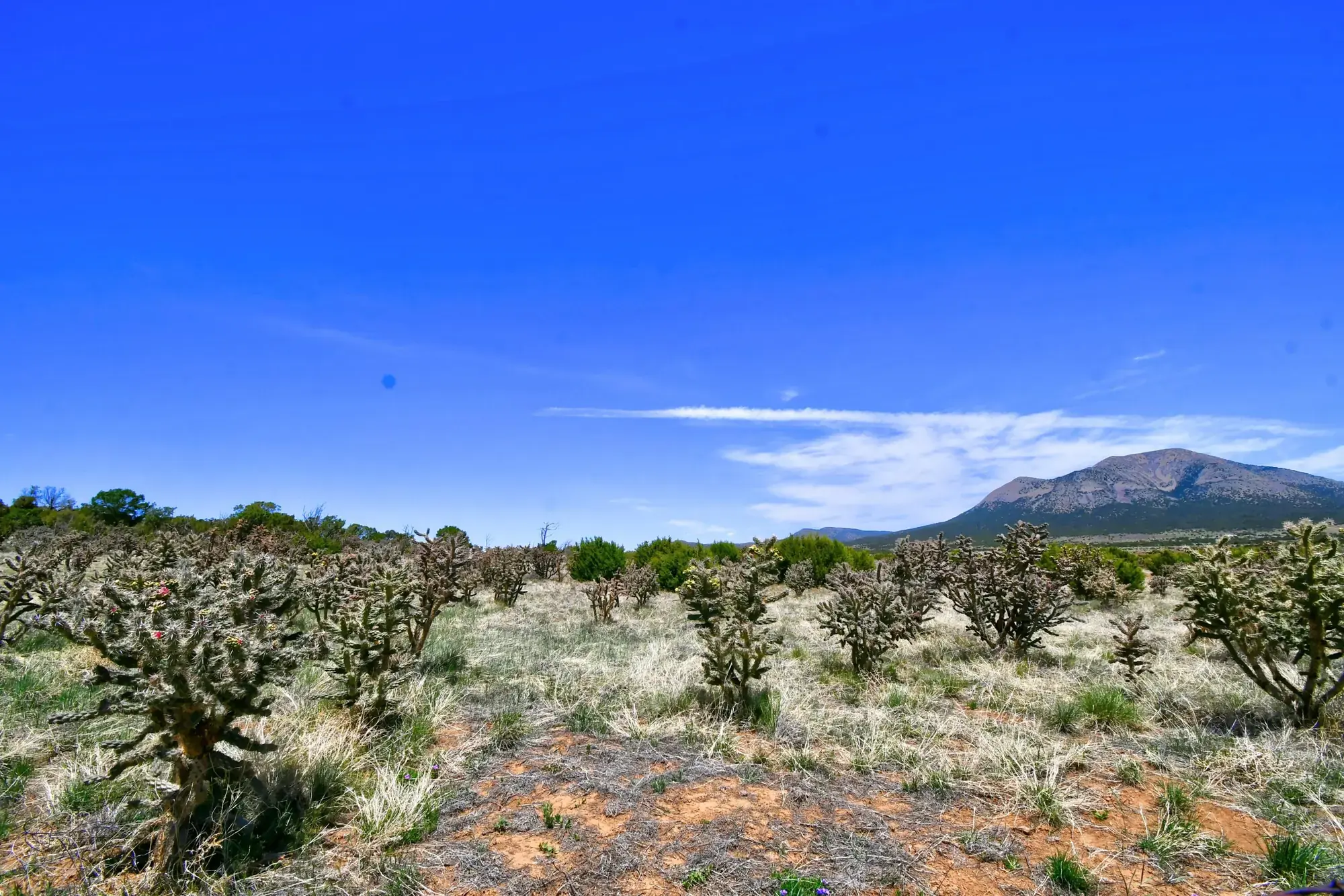 201 ENTRANOSA/ LOT 2 Road