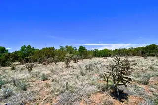 201 ENTRANOSA/ Lot 4 Road 