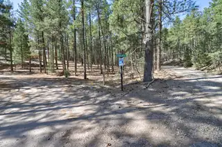 Lands of Hotchkiss Lot B NF 10 