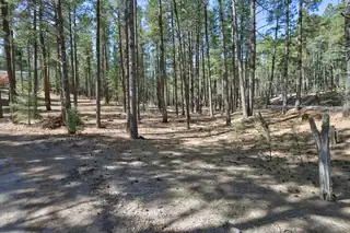 Lands of Hotchkiss Lot B NF 10 