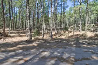 Lands of Hotchkiss Lot B NF 10 
