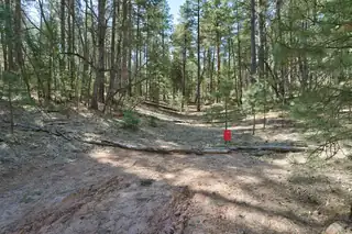 Lands of Hotchkiss Lot B NF 10 