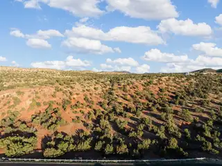 216 Purple Aster Road 