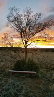 20 REUBENS Lane View