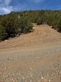 Larry's Lane, Cedar Crest 