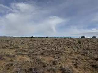 8213 Margarita Drive 