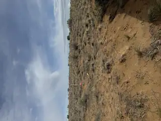 8213 Margarita Drive 