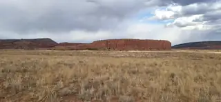 tbd County Rd. 19, Prewitt 