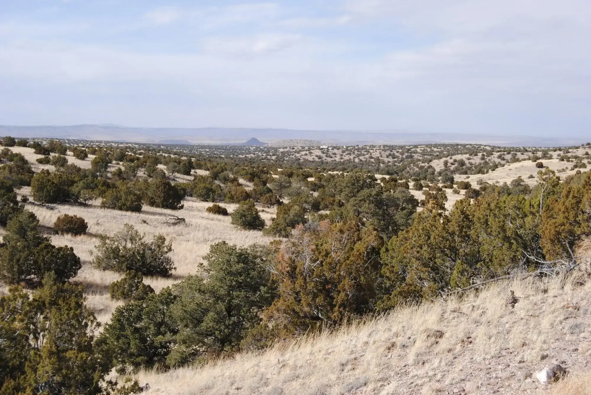 Lot 57 Pinon Springs Ranch