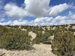 Lot 57 Pinon Springs Ranch 