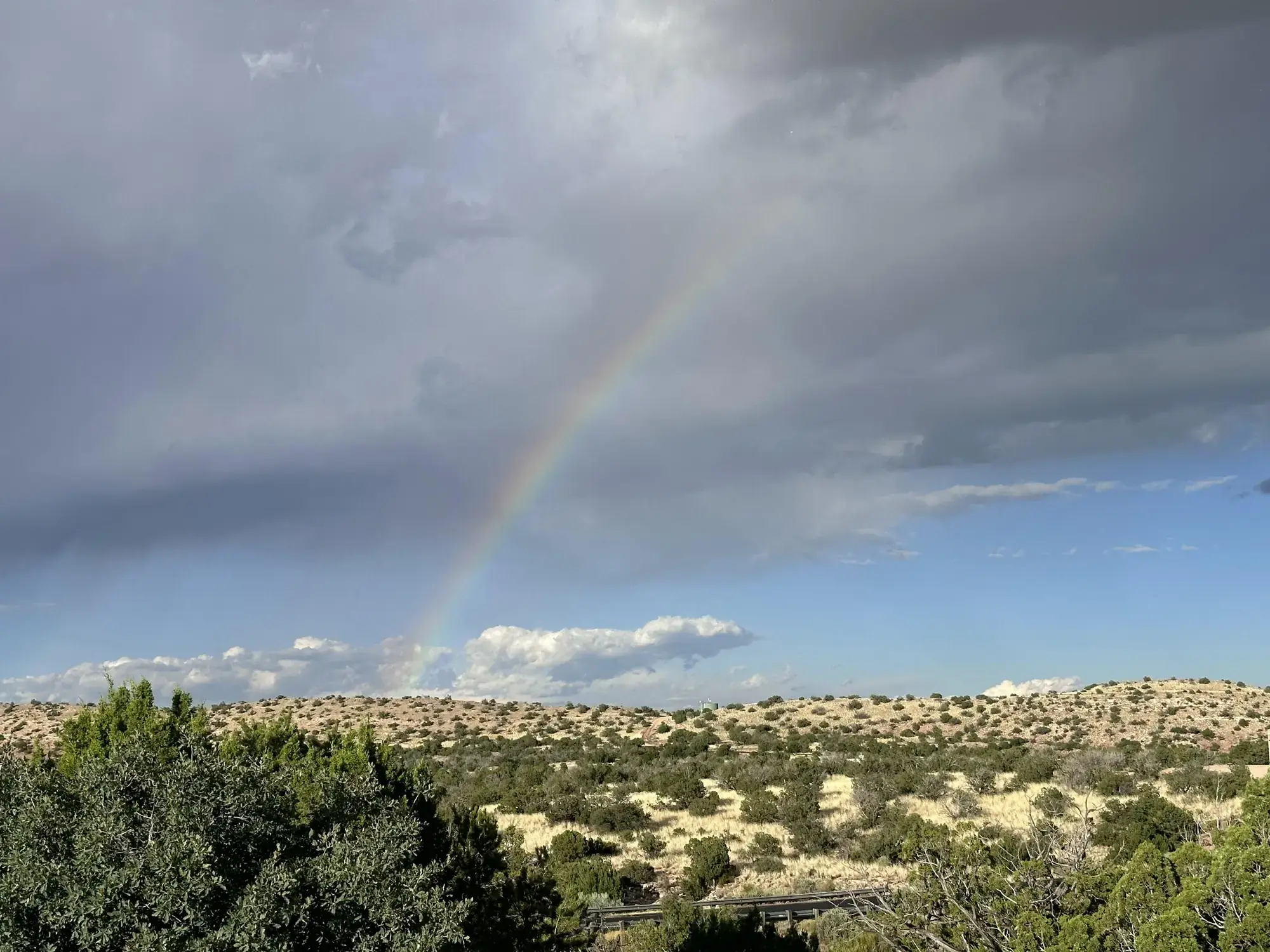 101 Wild Primrose Road