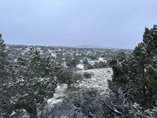 101 Wild Primrose Road 