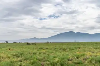 200 Connor Road, Meadow Lake 