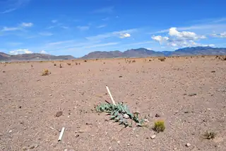 4 Lots Rolling Hills 