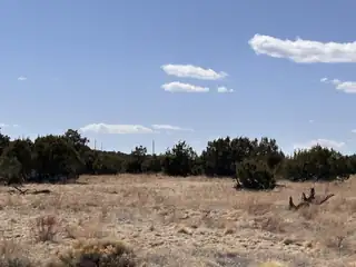 Lot 173 Pinon Springs Ranch 