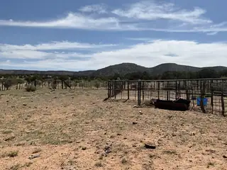 S: 10 T: 2N R: 6E N2NE4 (80AC 