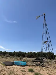 S: 10 T: 2N R: 6E N2NE4 (80AC 