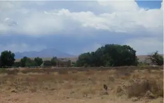 Calle De Las Plactias 