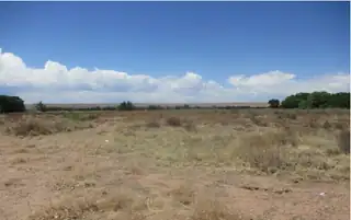 Calle De Las Plactias 