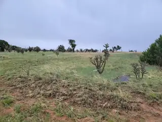 60 Majestic Loop, Moriarty 