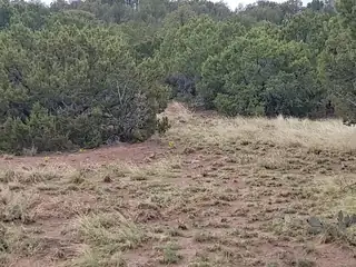 60 High Vista Drive, Moriarty 